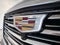 2025 Cadillac Escalade Premium Luxury Platinum